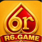 R6 Game
