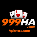 999HA Game