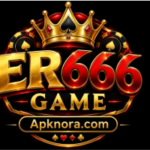 ER666 Game