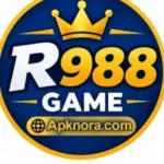 R988 Game